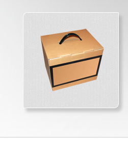 Sample Brown Box